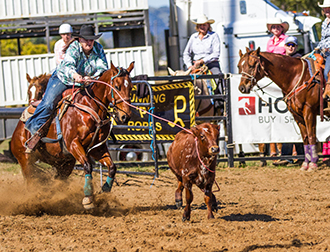 WESTERN- RODEO